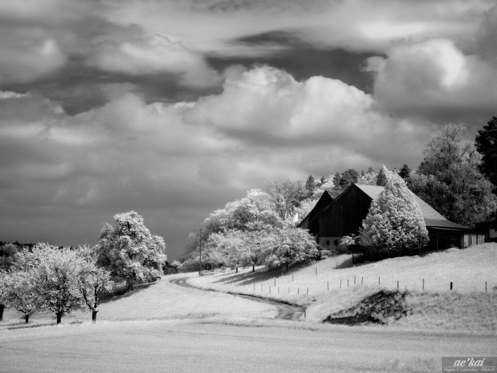 An infrared picture of a farm at Lake Greifensee, Switzerland