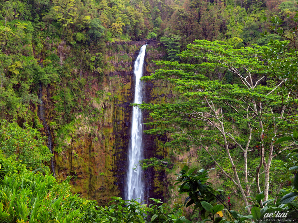 Akaka Falls in Hawaii