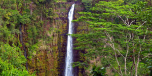 Akaka Falls in Hawaii