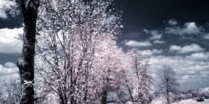 Infrared picture of hiking path around Greifensee, Switzerland