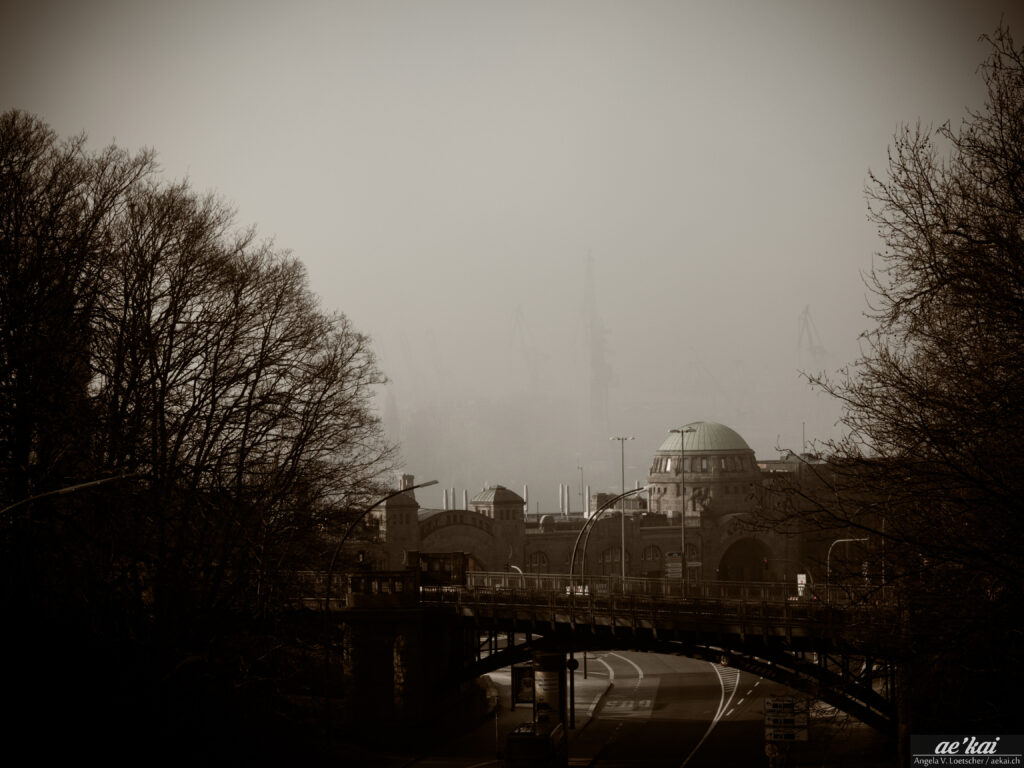 Hamburg harbor in the fog