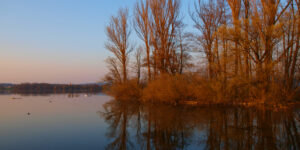 Autumn trees and lake in sunset at Greifensee, Switzerland