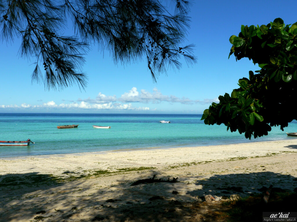 Kizimkazi Beach view framed by tree and pine leaves