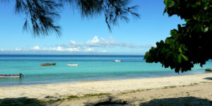 Kizimkazi Beach view framed by tree and pine leaves