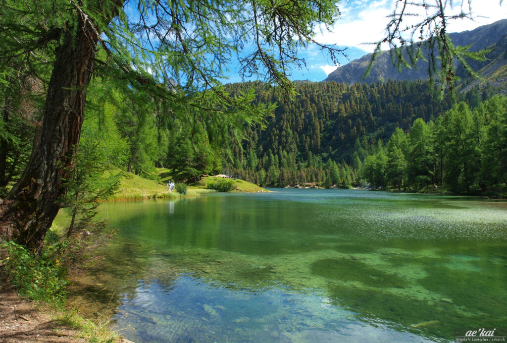Laj da Palpuogna in Switzerland, lake in Grisons (Graubünden)