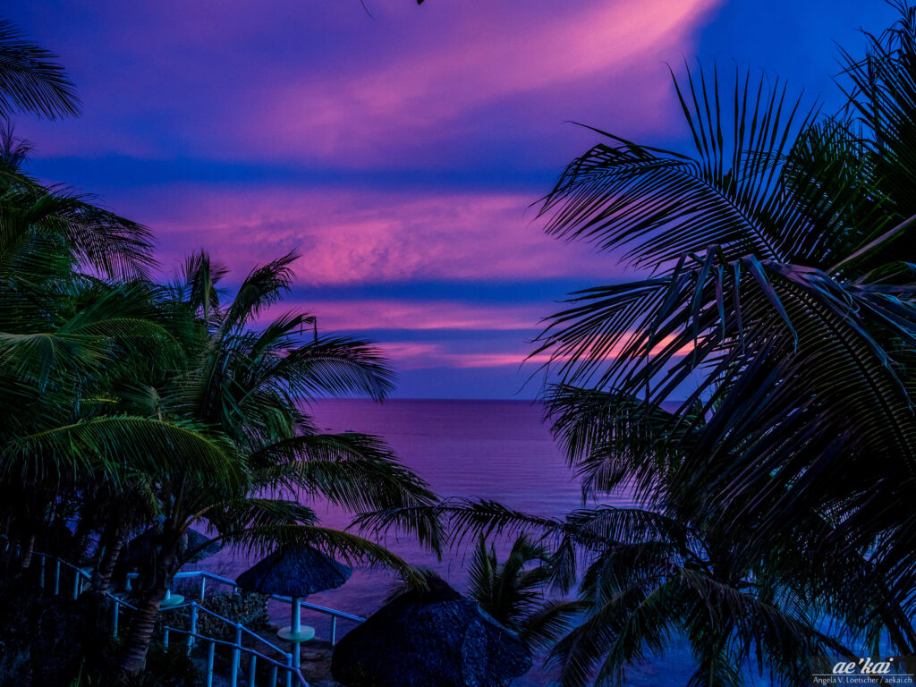 Pink-blue sunset with palm trees; Bohol; Philippines