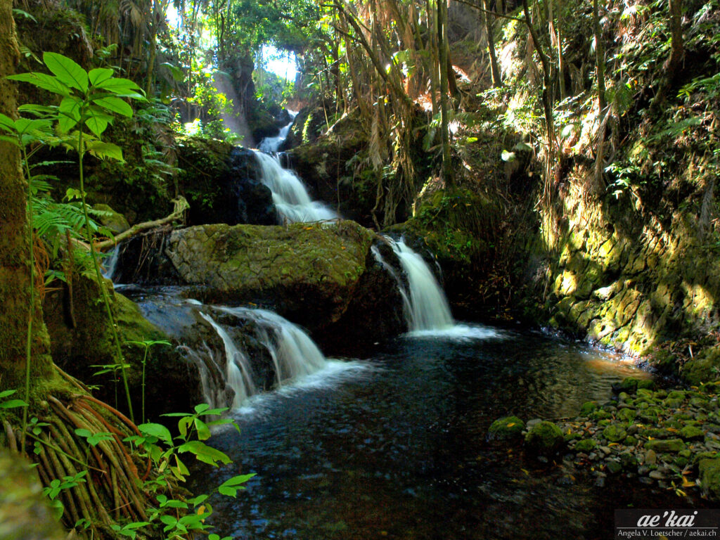 Triple Waterfall in Onomea Botanical Gardens on the island of Hawaii