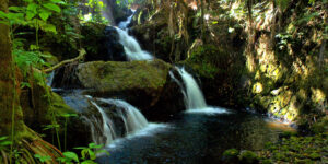 Triple Waterfall in Onomea Botanical Gardens on the island of Hawaii